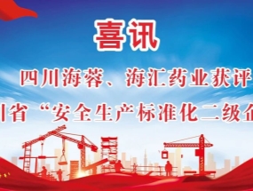 海蓉、海匯藥業(yè)獲評“安全生產(chǎn)標準化二級企業(yè)”